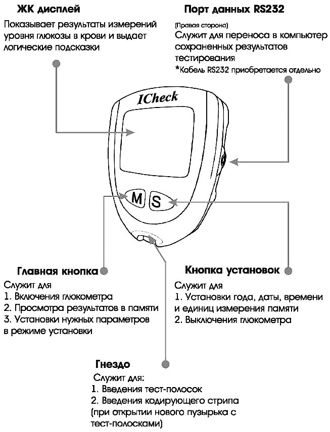 Устройство глюкометра схема