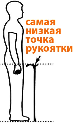Трость высота длс старика. Высота палок для скандинавской ходьбы. Как подобрать трость для ходьбы. Диаметр трости для ходьбы. Трость для ходьбы подобрать по росту.